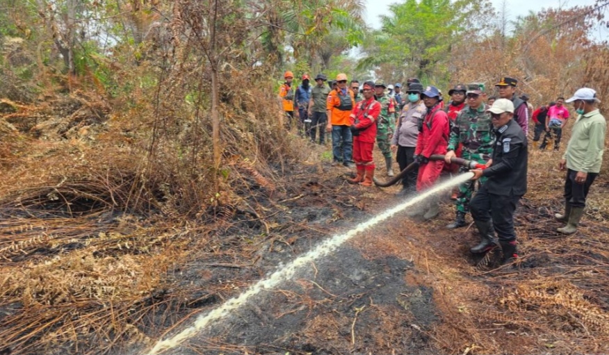 Penanganan Karhutla di Pelalawan