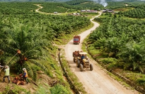 Sat Intelkam Polres Bengkalis Melakukan Penggalangan dan Mediasi KSO