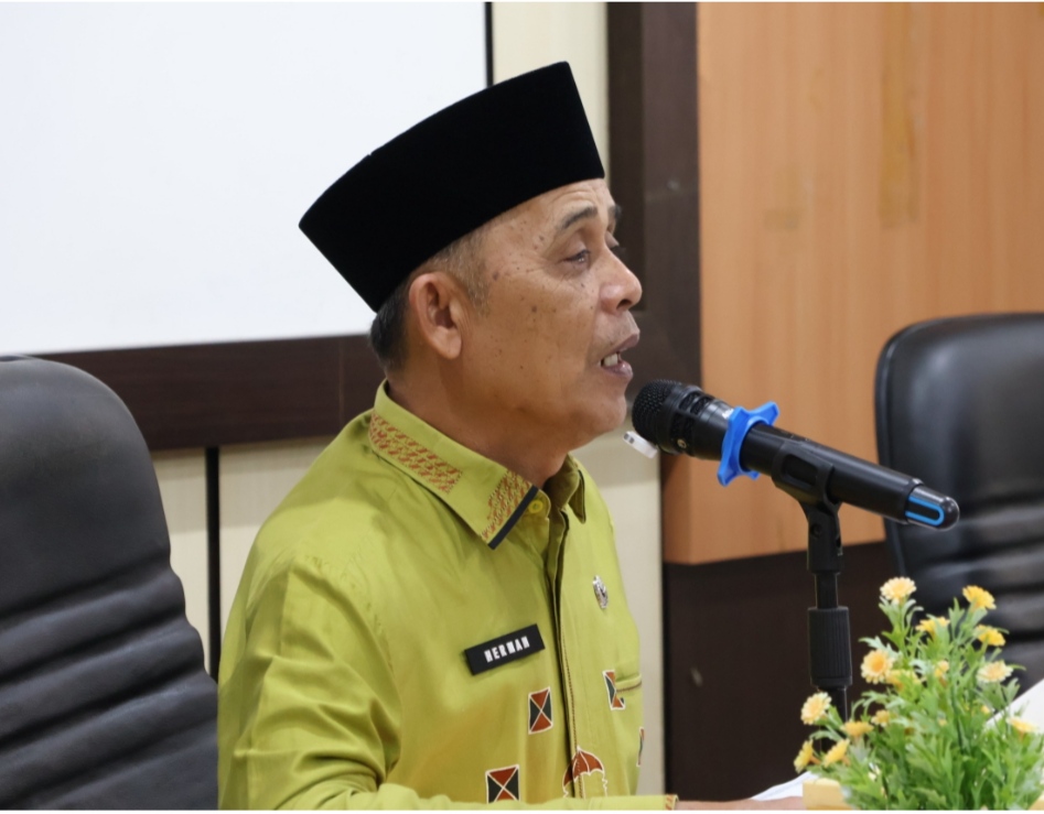 Bupati Inhil, Herman