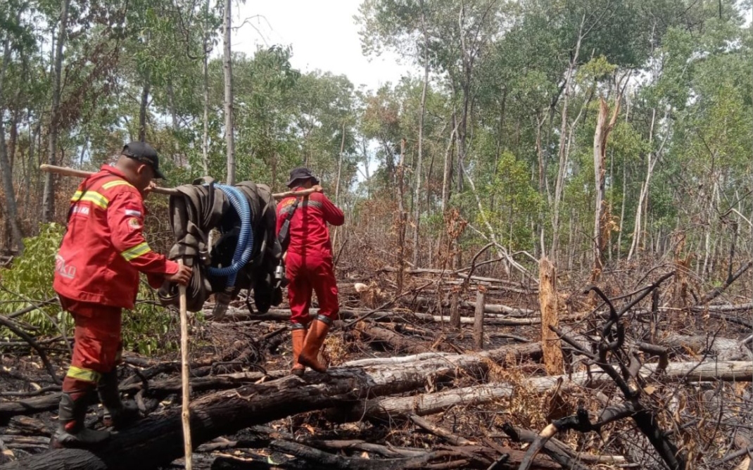 Usai pemadaman karhutla di Riau