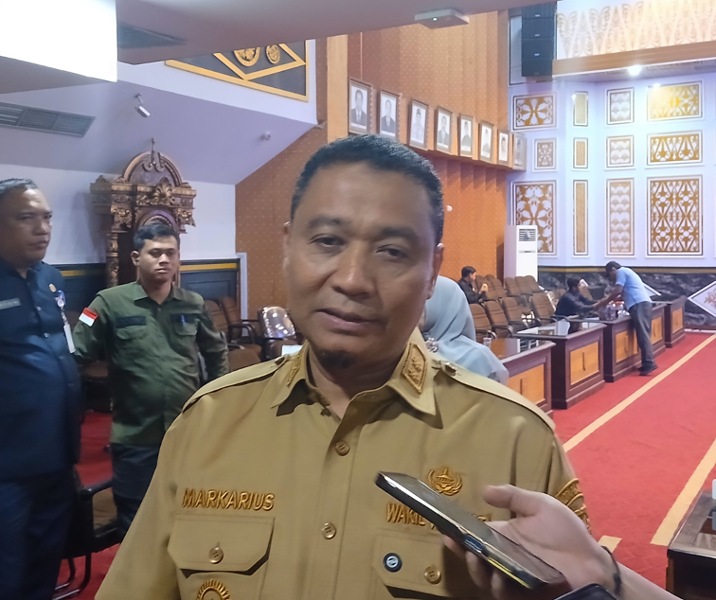 Wakil Wali Kota Pekanbaru Markarius Anwar. Foto: Surya/Riau1.