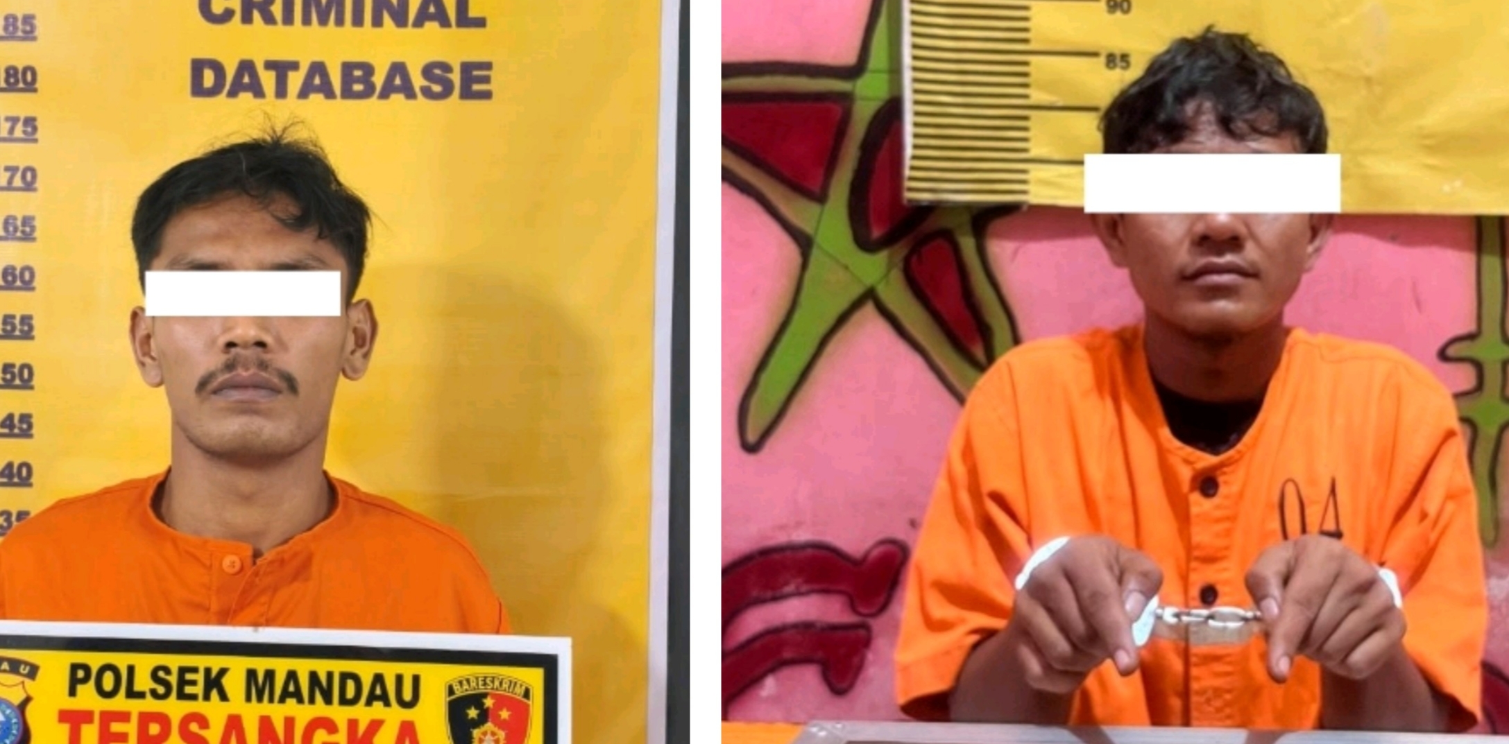 Di Kecamatan Mandau, Pengedar Narkoba dan DPO Berhasil Diciduk Polisi