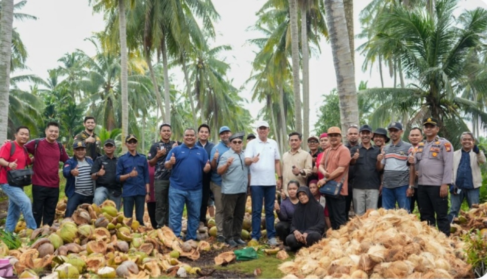 Kebun kelapa di Kecamatan Rangsang Meranti