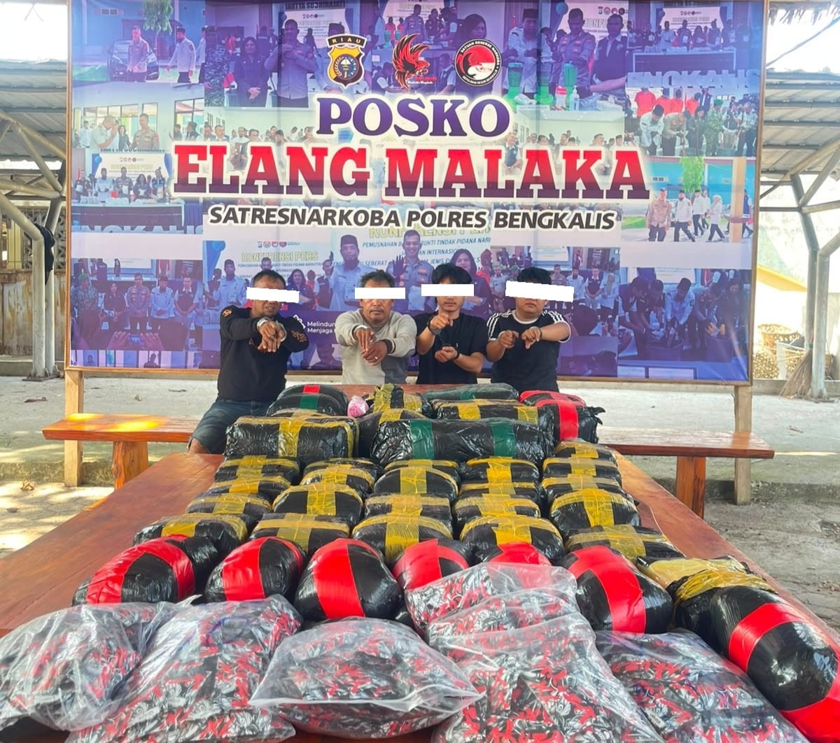 Satnarkoba dan Polsek Bantan Polres Bengkalis Ringkus 4 Pelaku Puluhan Kilogram Narkoba