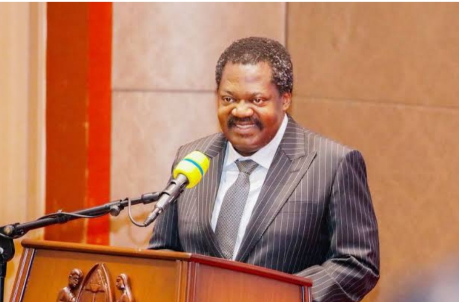 Wakil Presiden Tanzania, Emmanuel Nchimbi