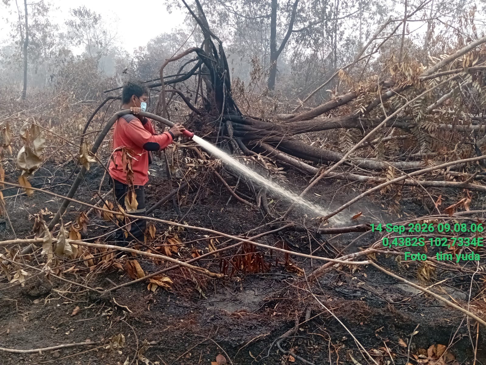 APHI Riau Bantu Padamkan Api Akibat Karhutla di Sekitar Wilayah Kerja. (Istimewa)