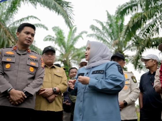 Bupati Kasmarni Tinjau Pembersihan Lahan Cegah Karhutla dan Berikan Bantuan Alat Berat