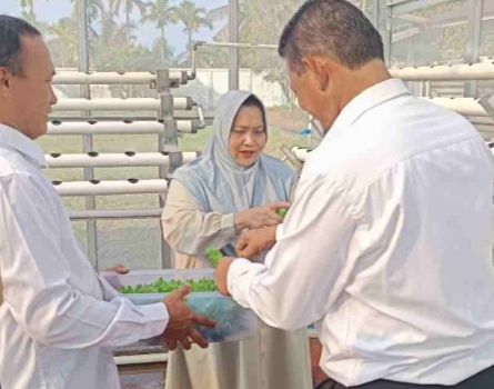 Bupati Kasmarni Ajak Warga Manfaatkan Pekarangan Rumah Tanam Aneka Sayuran