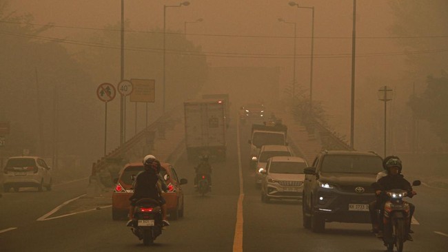 Kabut asap karhutla/Antara