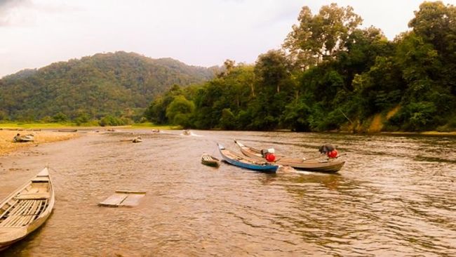 Kawasan Hutan Rimbang Baling Kampar